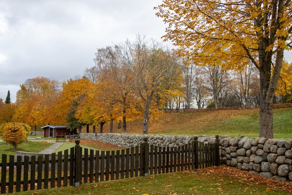 Free stock photo of 2025, 4k nature, 4k photo